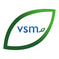 VSM
